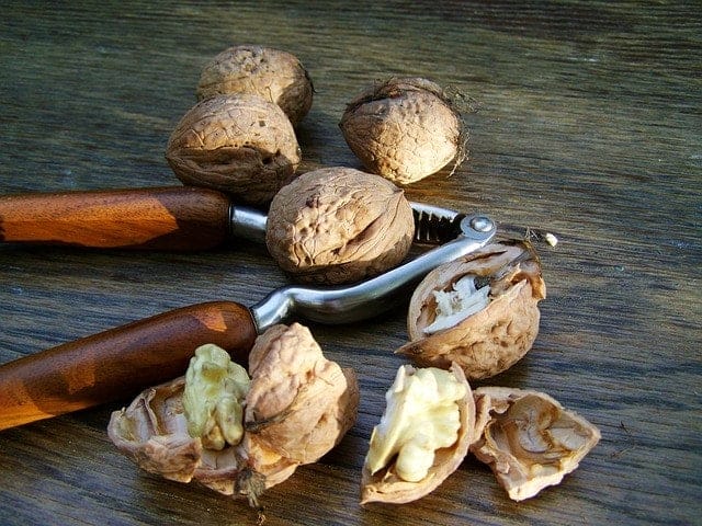 walnut